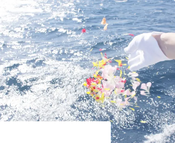プレミアム海洋散骨
